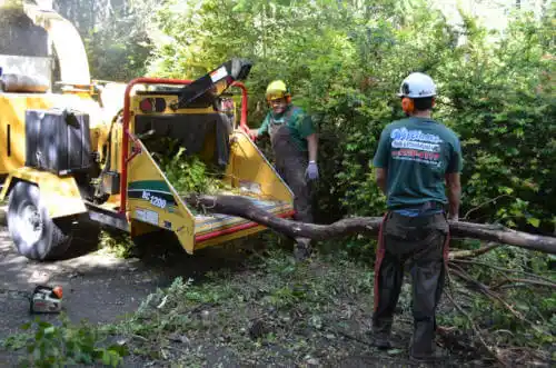 tree services Brookville